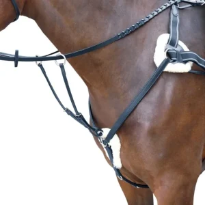 Rossano Five Point Breastplate