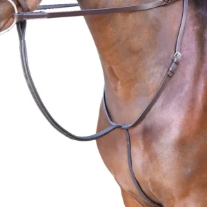 Rossano Standing Martingale
