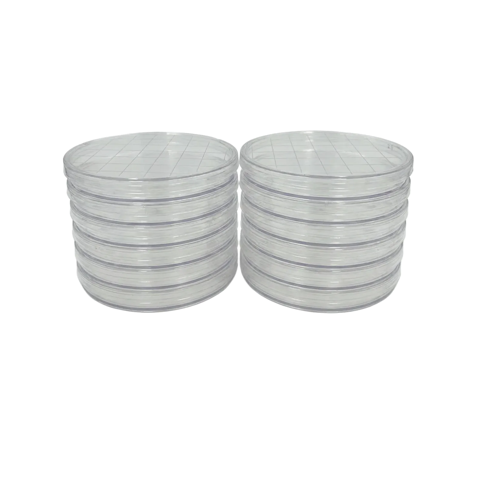 Round Gridded Search Dish with Lid