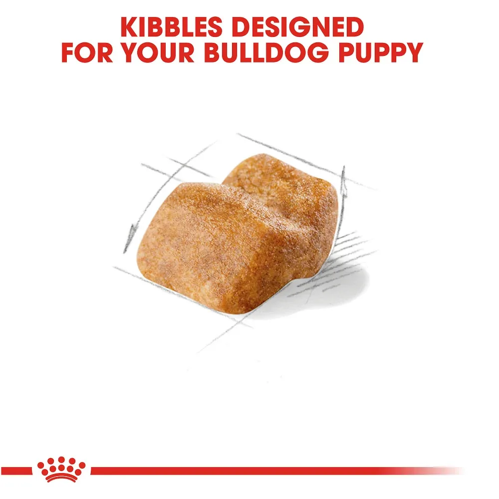 Royal Canin Breed Health Nutrition Bulldog Puppy Dry Dog Food - Image 2