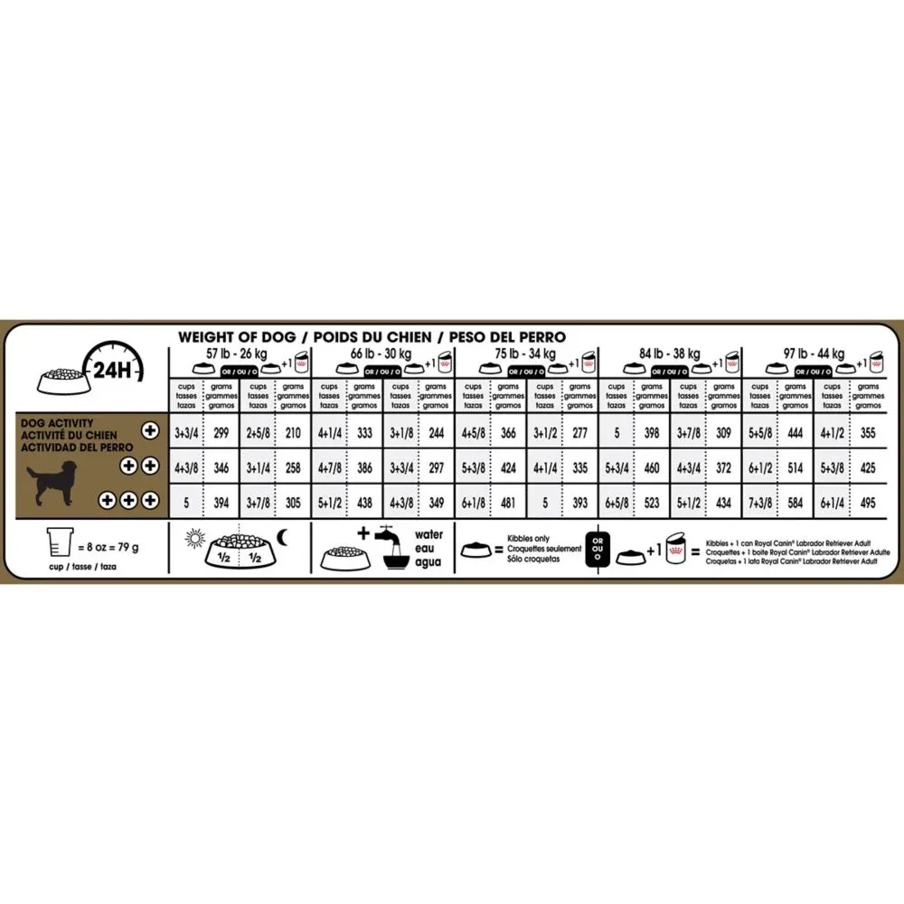 Royal Canin Breed Health Nutrition Labrador Retriever Adult Dry Dog Food - Image 2