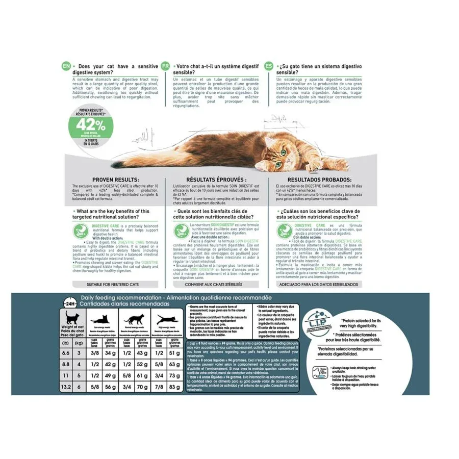 Royal Canin Feline Digestive Care Dry Cat Food - Image 2