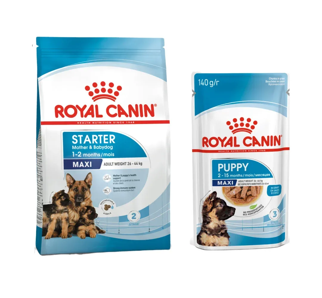 Royal Canin Maxi Starter Dry Food and Maxi Puppy Dog Wet Food Combo
