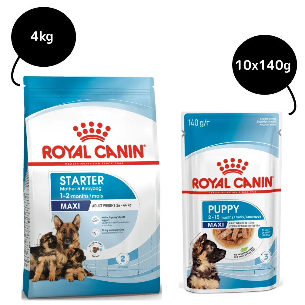 Royal Canin Maxi Starter Dry Food and Maxi Puppy Dog Wet Food Combo - Image 2