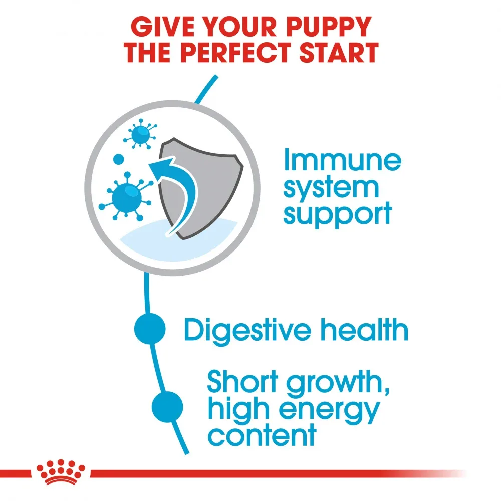 Royal Canin Size Health Nutrition Medium Puppy Dry Dog Food - Image 2