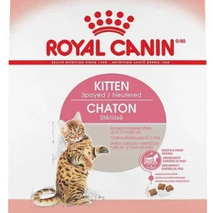 Royal Canin Spayed or Neutered Dry Kitten Food