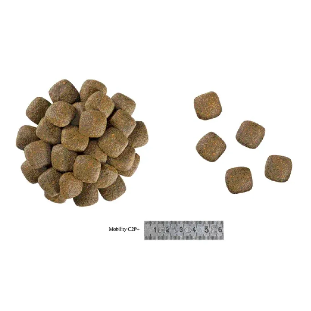 Royal Canin Veterinary Diet Mobility C2P+ Dog Dry Food - Image 2