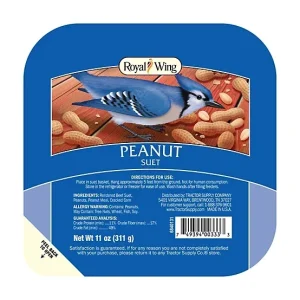 Royal Wing Peanut Suet Cakes