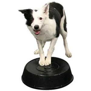 Rubber Feed Pans for Mark Buckets & Perches