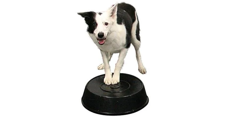 Rubber Feed Pans for Mark Buckets & Perches