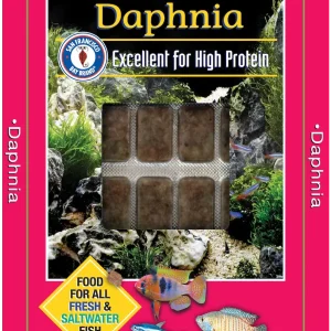 San Francisco Bay Brand Frozen Daphnia Fish Food 1.75 oz SD-5