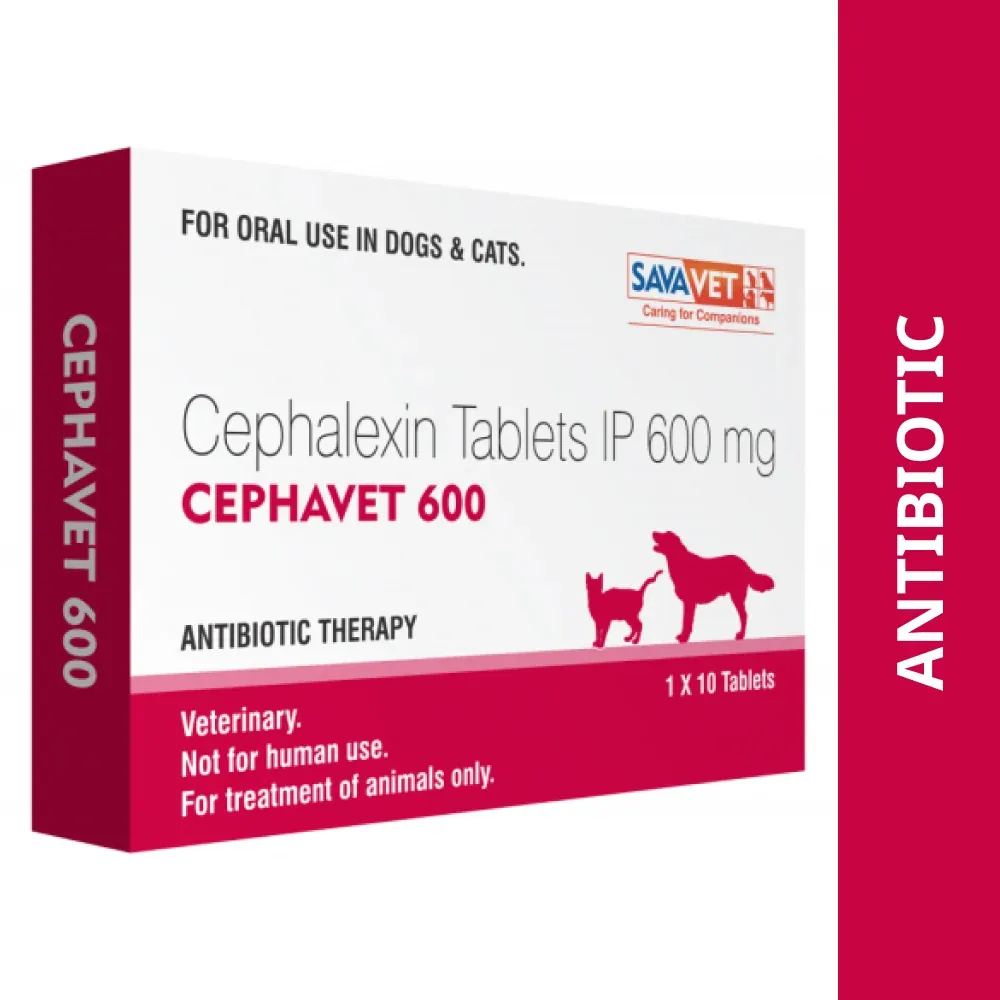 Savavet Cephavet 600mg (Cephalexin) Tablet for Dogs & Cats