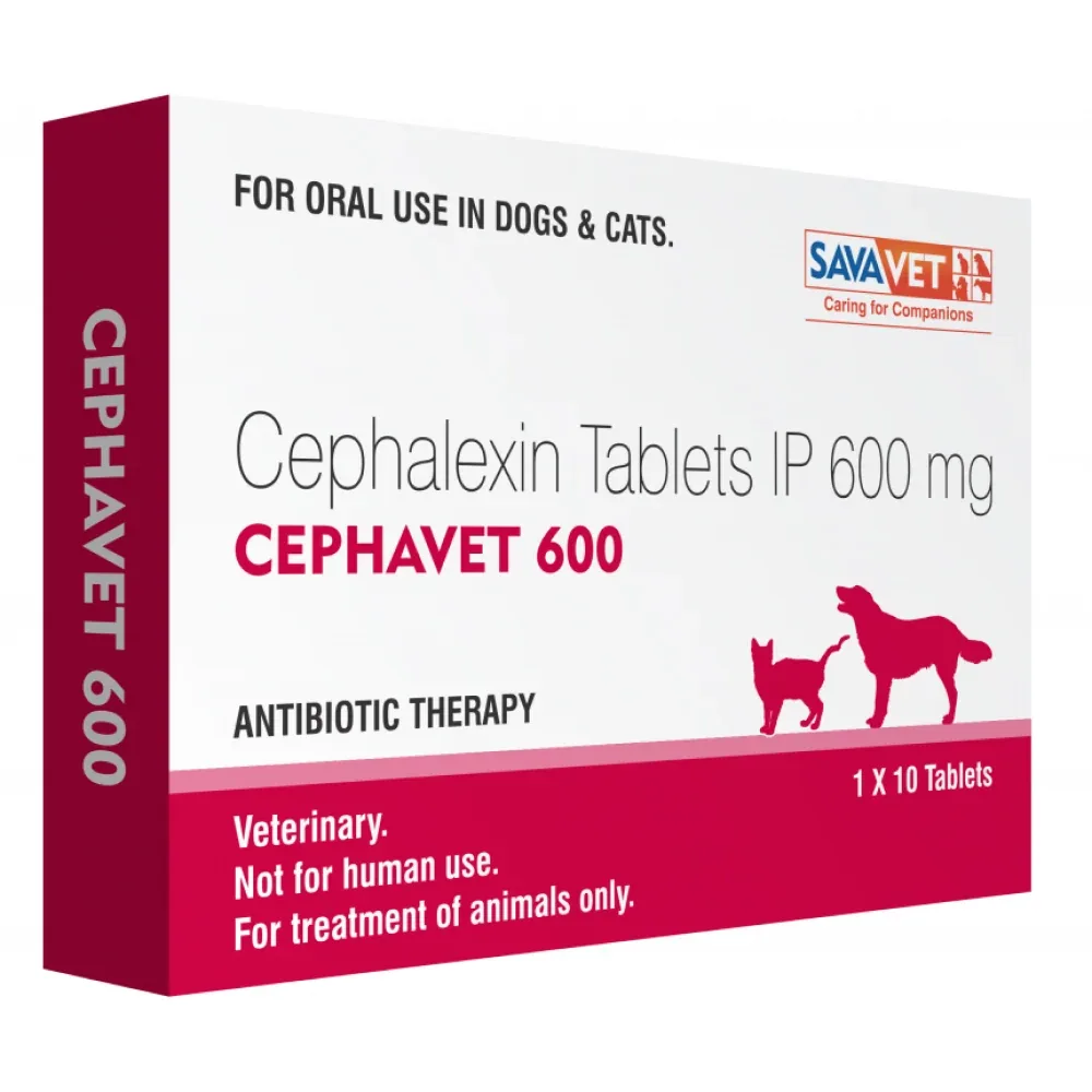 Savavet Cephavet 600mg (Cephalexin) Tablet for Dogs & Cats - Image 2