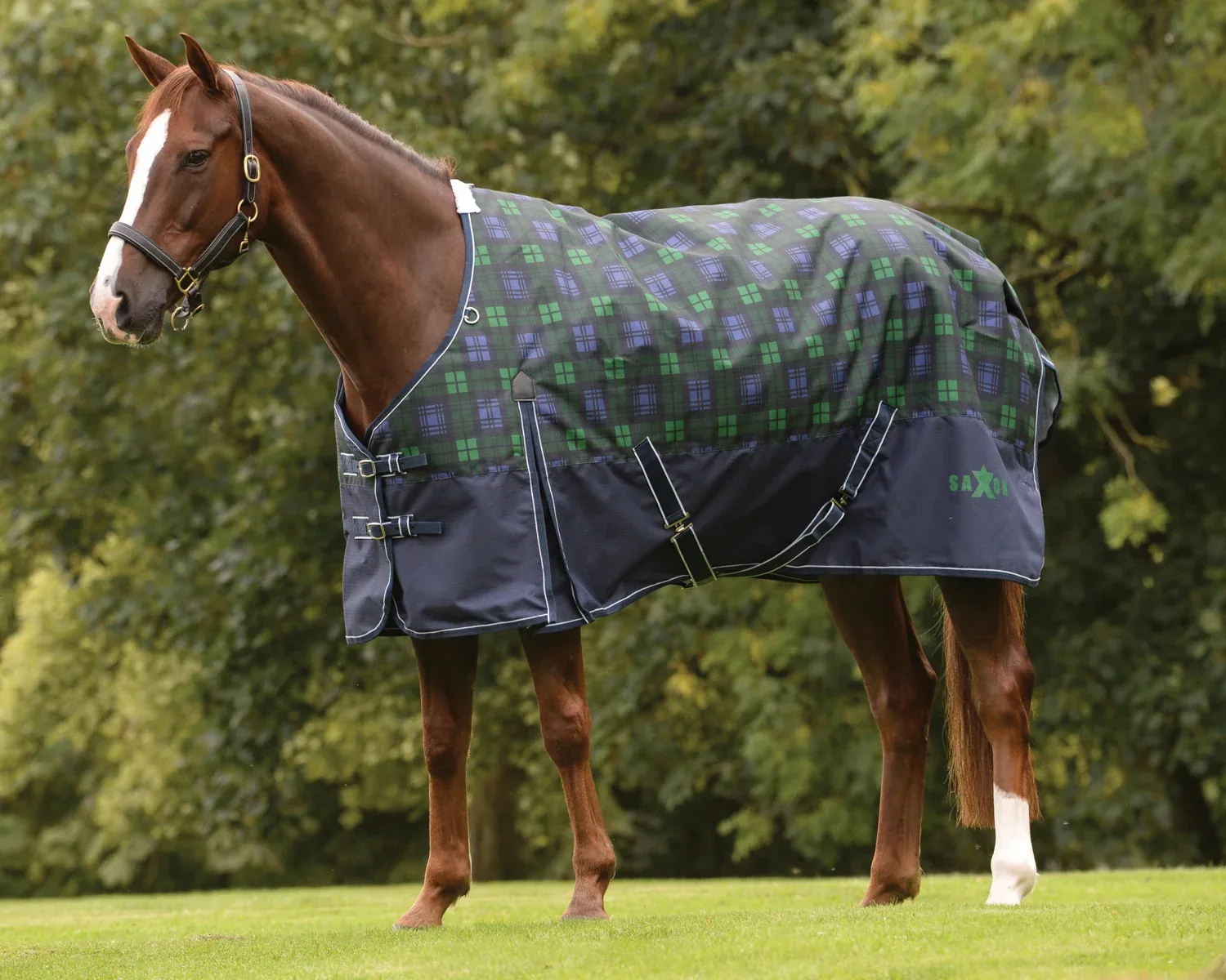 Saxon 1200D Medium-Weight Blanket with Gussets & Standard Neck II - Image 2