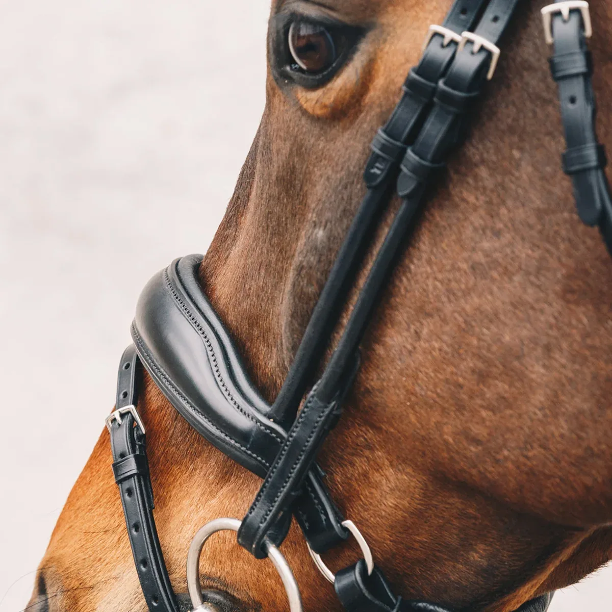 Schockemöhle Malibu Bridle - Image 2