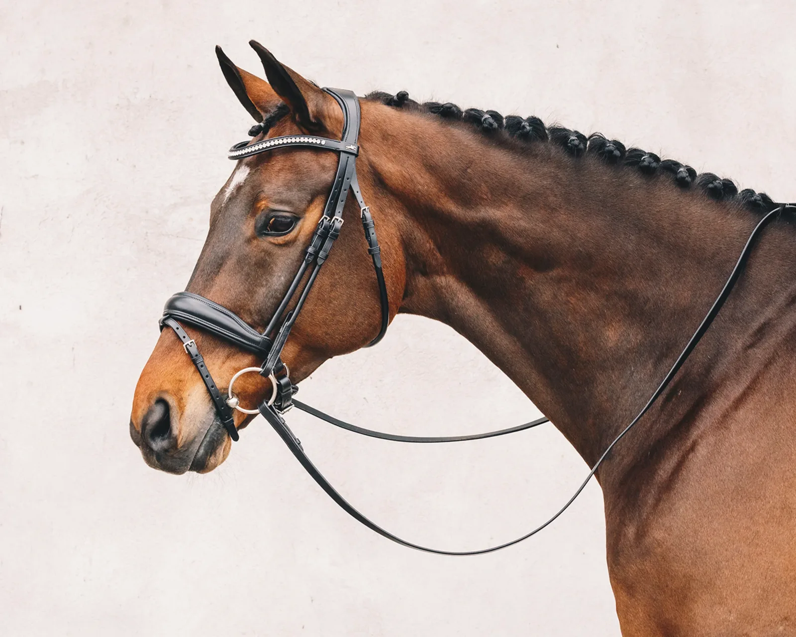 Schockemöhle Malibu Bridle