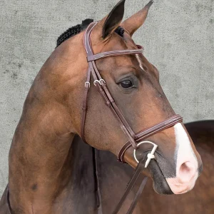 Schockemöhle Montreal Select Anatomic Hunter Bridle