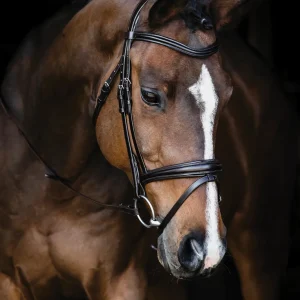 Schockemöhle Monza Bridle