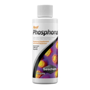 Seachem Laboratories Reef Phosphorus Supplement 100 mL, 3.4 oz