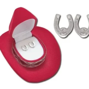 Shiny Horseshoe Earrings Steel