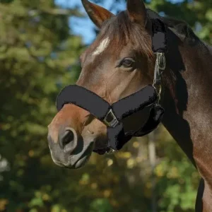 Shires ARMA SupaFleece Halter Set