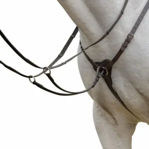 Shires Avignon 3 Point Breastplate