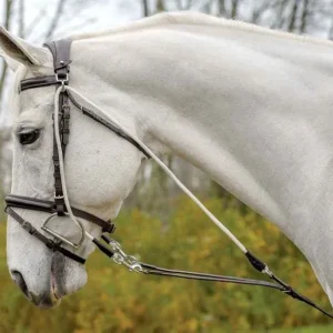 Shires Avignon De Gogue Trainng Aid
