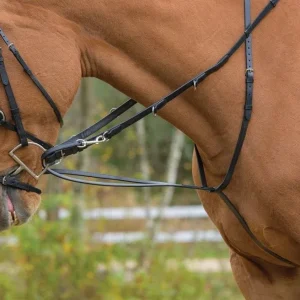 Shires Avignon German Martingale