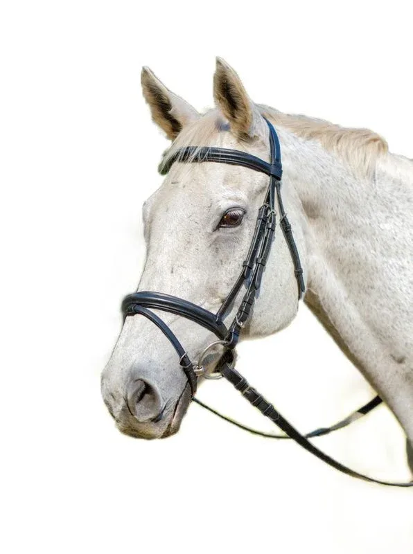 Shires Avignon Louisville Bridle