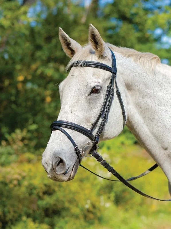 Shires Avignon Louisville Bridle - Image 2