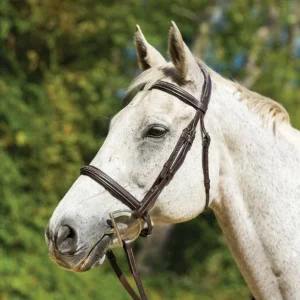 Shires Avignon Nashville Bridle
