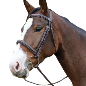 Shires Avignon Ocala Bridle