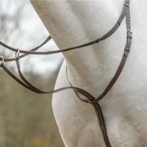 Shires Avignon Running Martingale