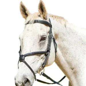 Shires Avignon Woodside Bridle