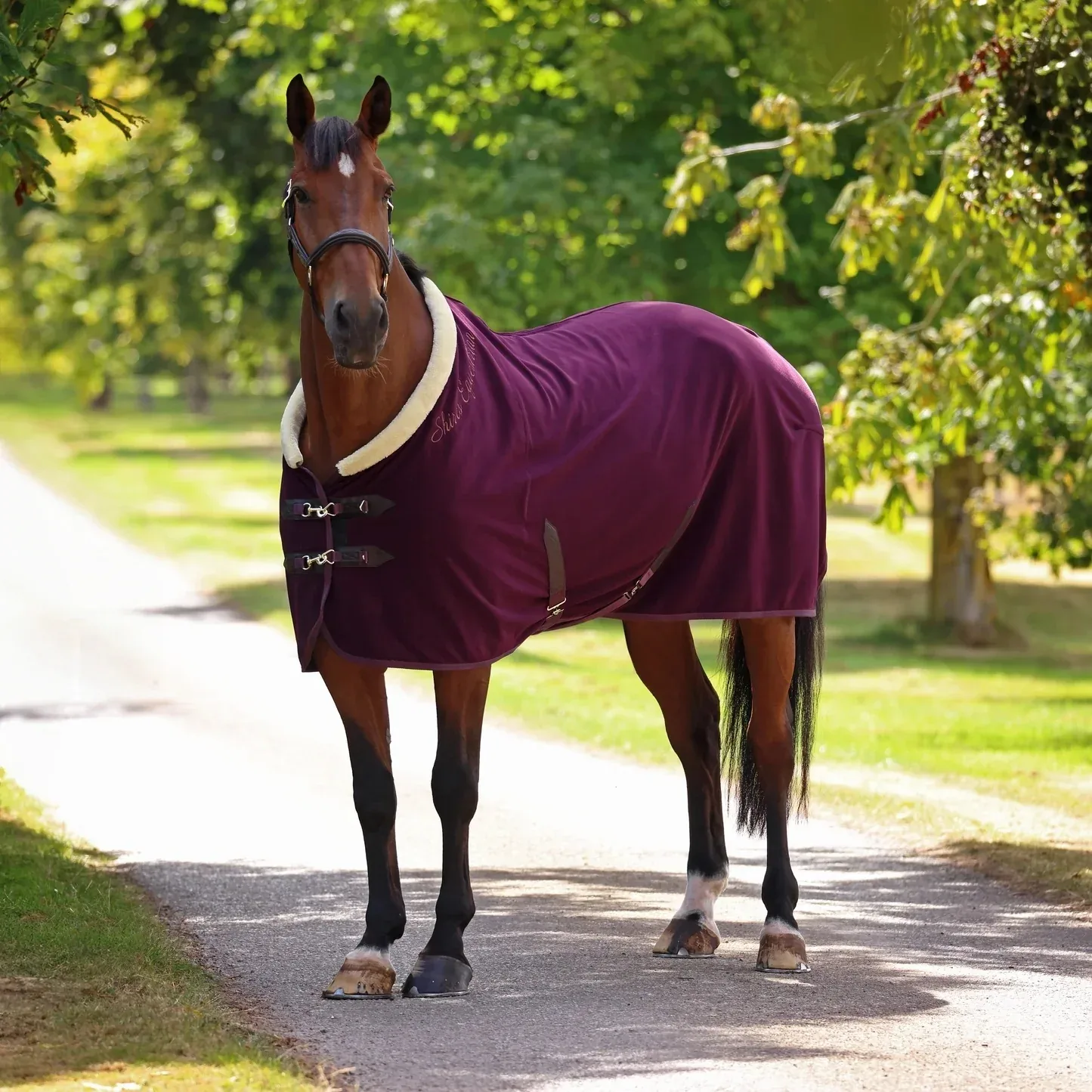Shires Deluxe Fleece Rug - Image 2