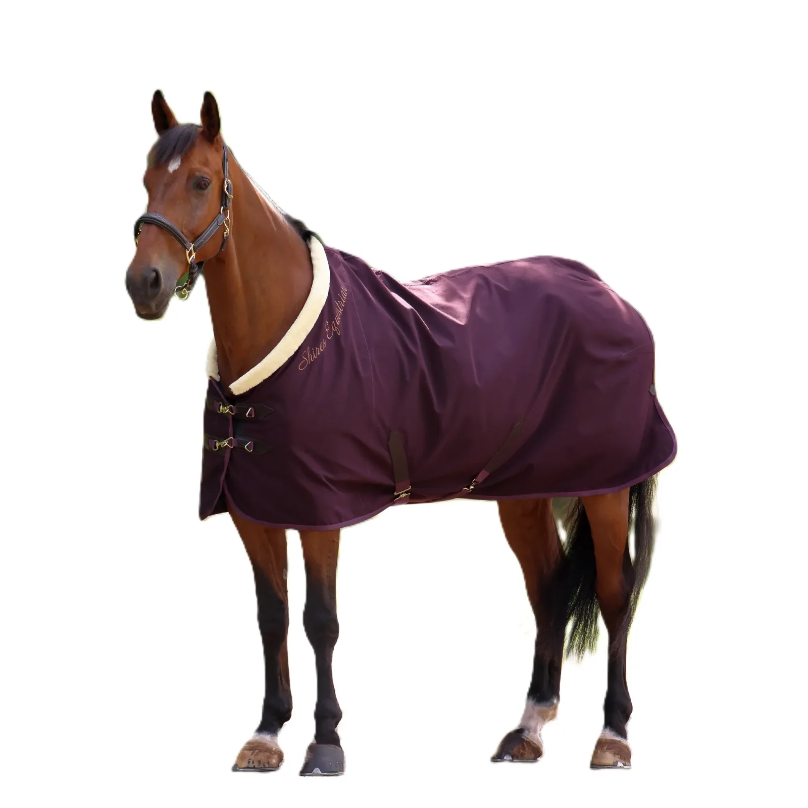 Shires Deluxe Stable Sheet - Image 2
