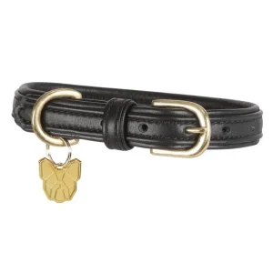 Shires Digby Fox Padded Leather Dog Collar