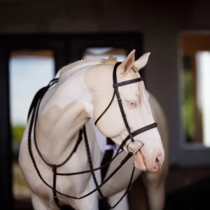 Shires Fancy Square Raised Laced Reins