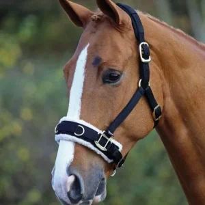 Shires Fleece Lined Lunge Cavesson