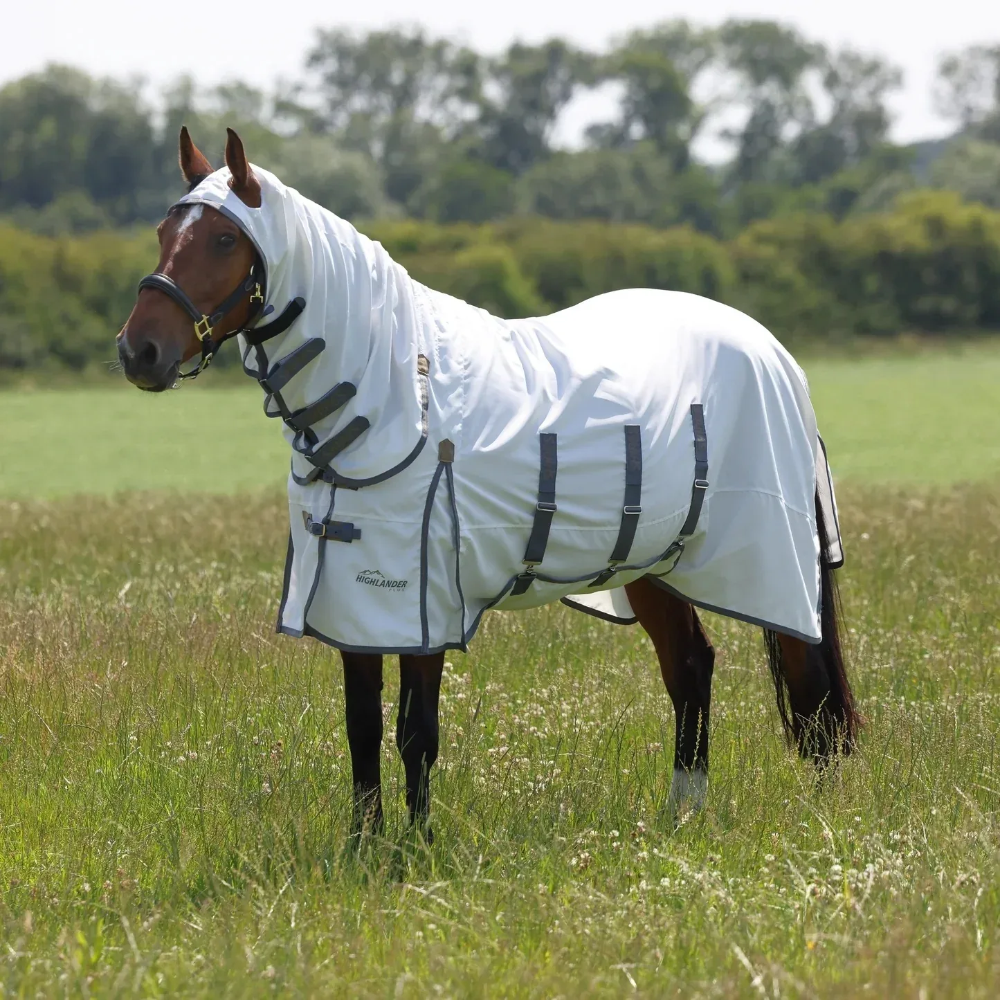 Shires Highlander Plus Sweet-Itch Combo Rug