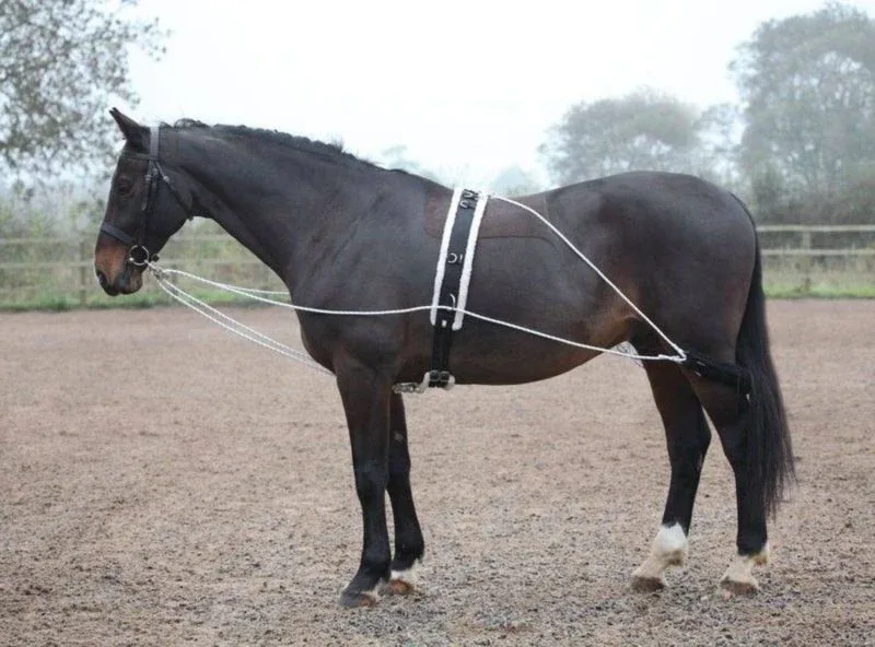 Shires Lunging Aid White - Image 2