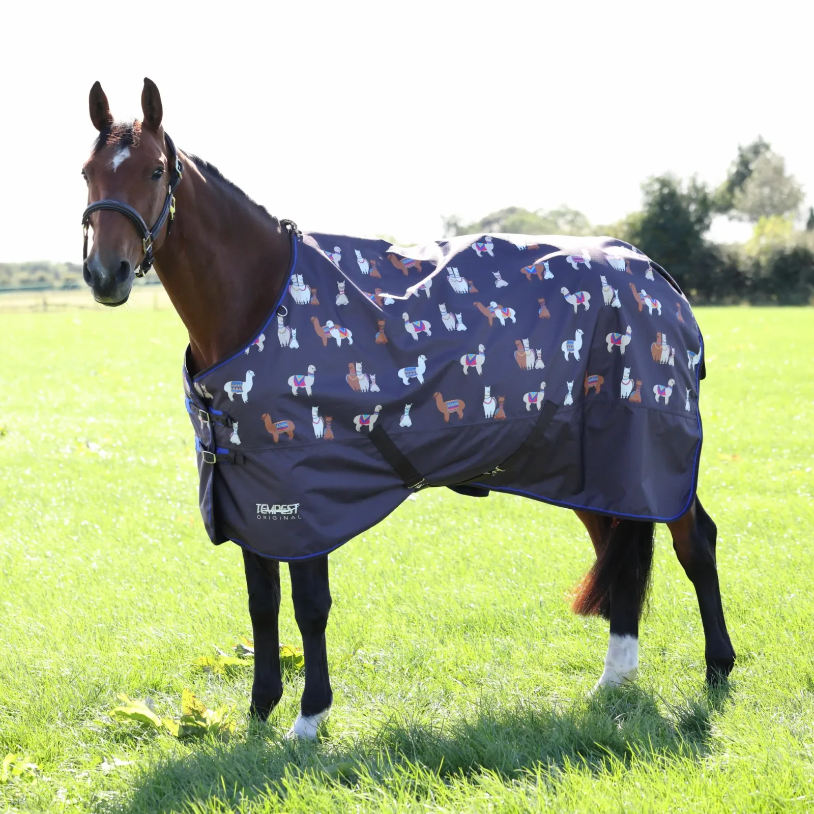 Shires Tempest Original 200g TO - Image 2