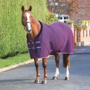 Shires Tempest Original Team Shires Rug