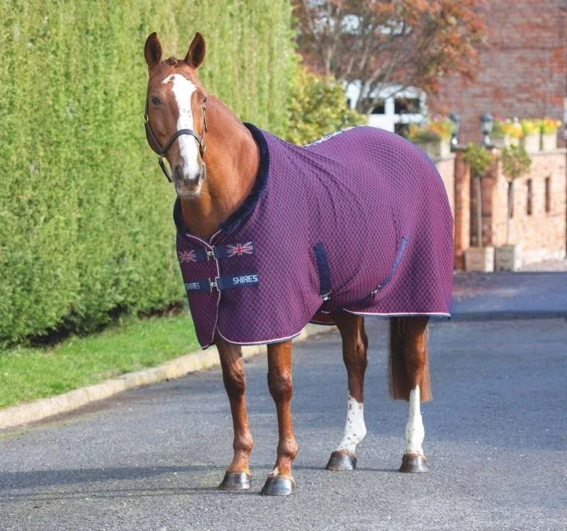 Shires Tempest Original Team Shires Rug - Image 2