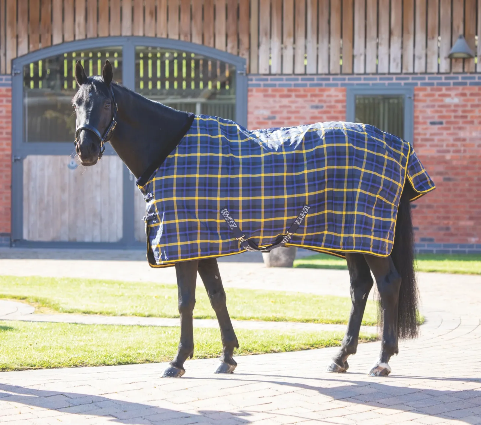 Shires Tempest Plus Lite Stable Rug - Image 2