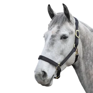 Shires Topaz Nylon Halter