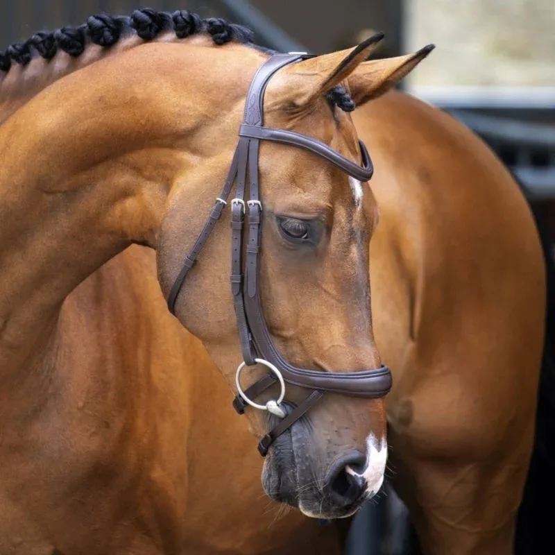 Shires Velociti Ergonomic Curved Flash Bridle - Image 2