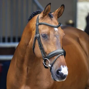 Shires Velociti Lusso Dressage Flash Bridle