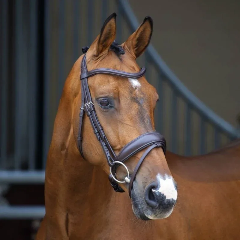 Shires Velociti Lusso Dressage Flash Bridle - Image 2