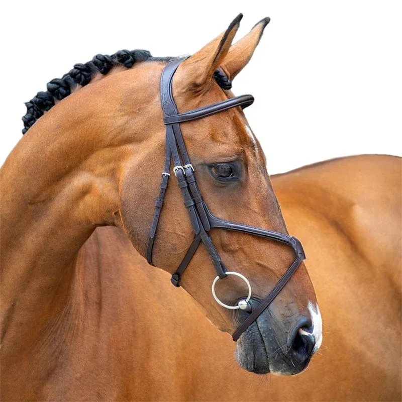 Shires Velociti Lusso Grackle Bridle - Image 2
